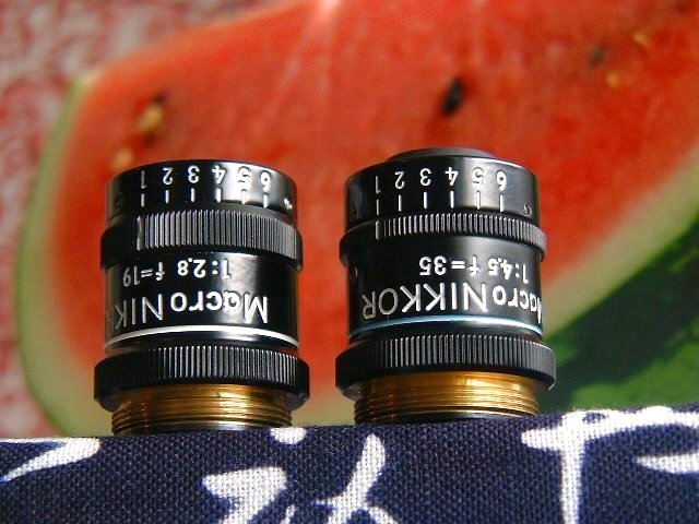 MACRO Nikkor 35mm F4.5 and Bellows Set