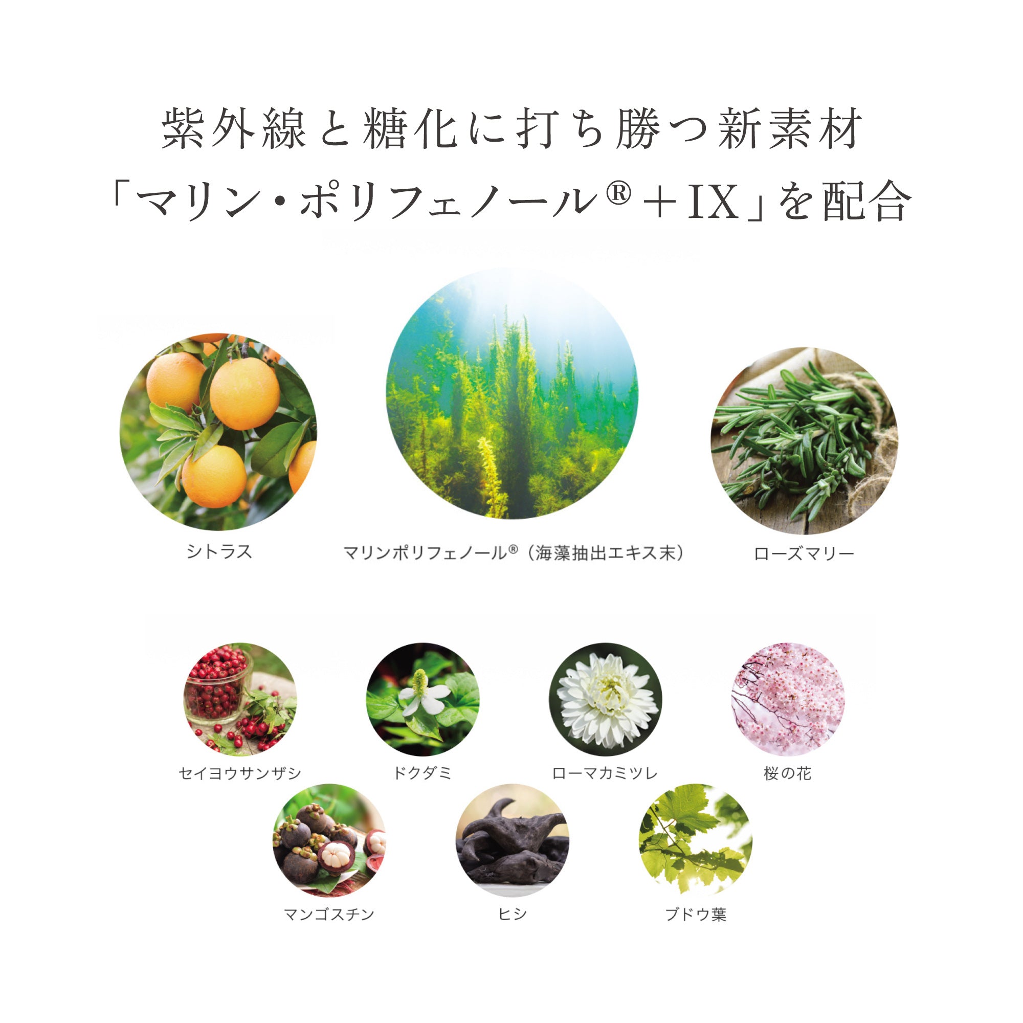 ソルプロプリュス ホワイト サプリメント – リゾナスオンラインストア