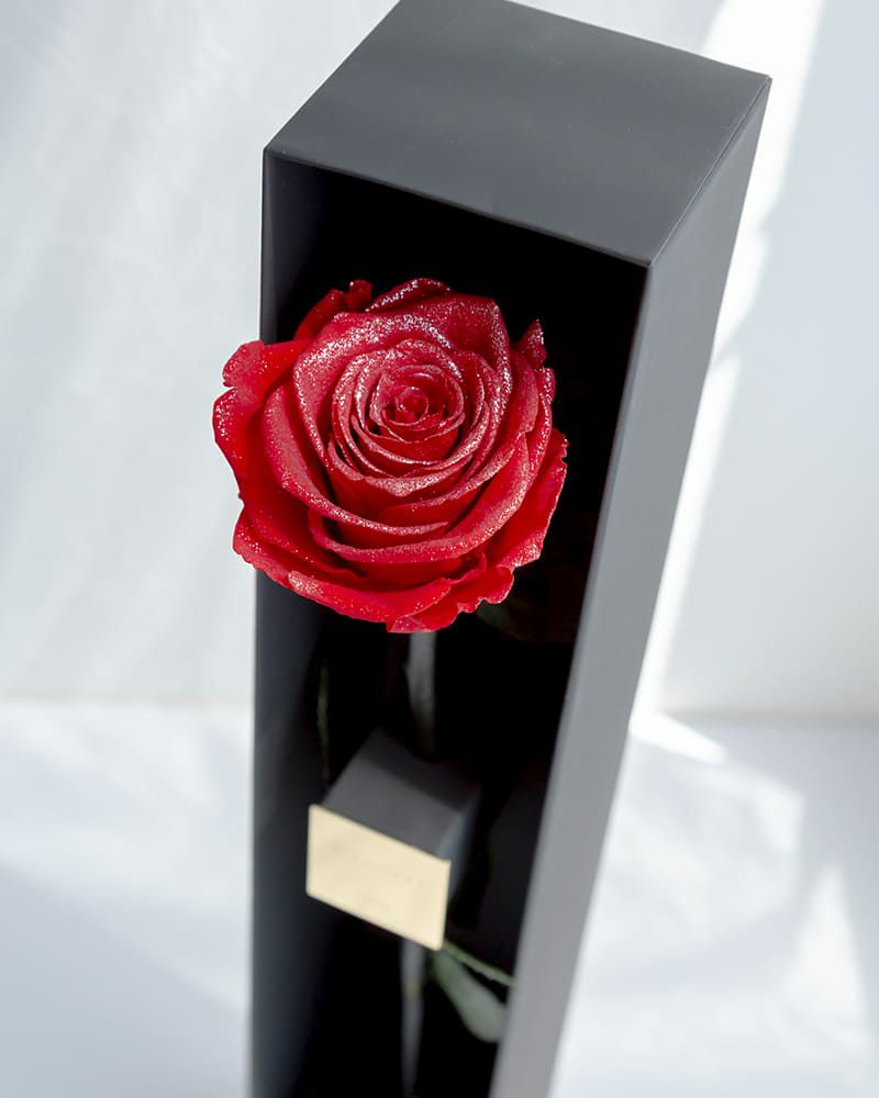 ザ・ワンスペシャルエディション | ローズギャラリー銀座 オンライン