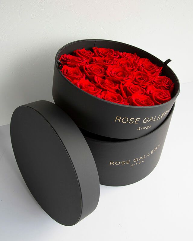 アンダーザローズ(L-L18) | ローズギャラリー銀座 オンラインショップ