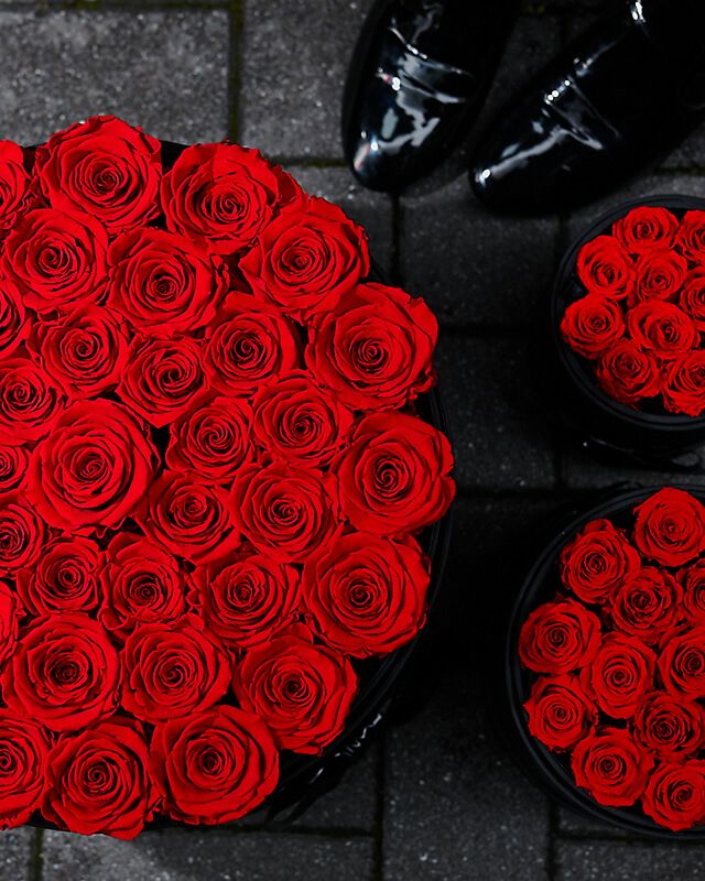 カムアップローゼス(S-N11) | ローズギャラリー銀座 オンラインショップ