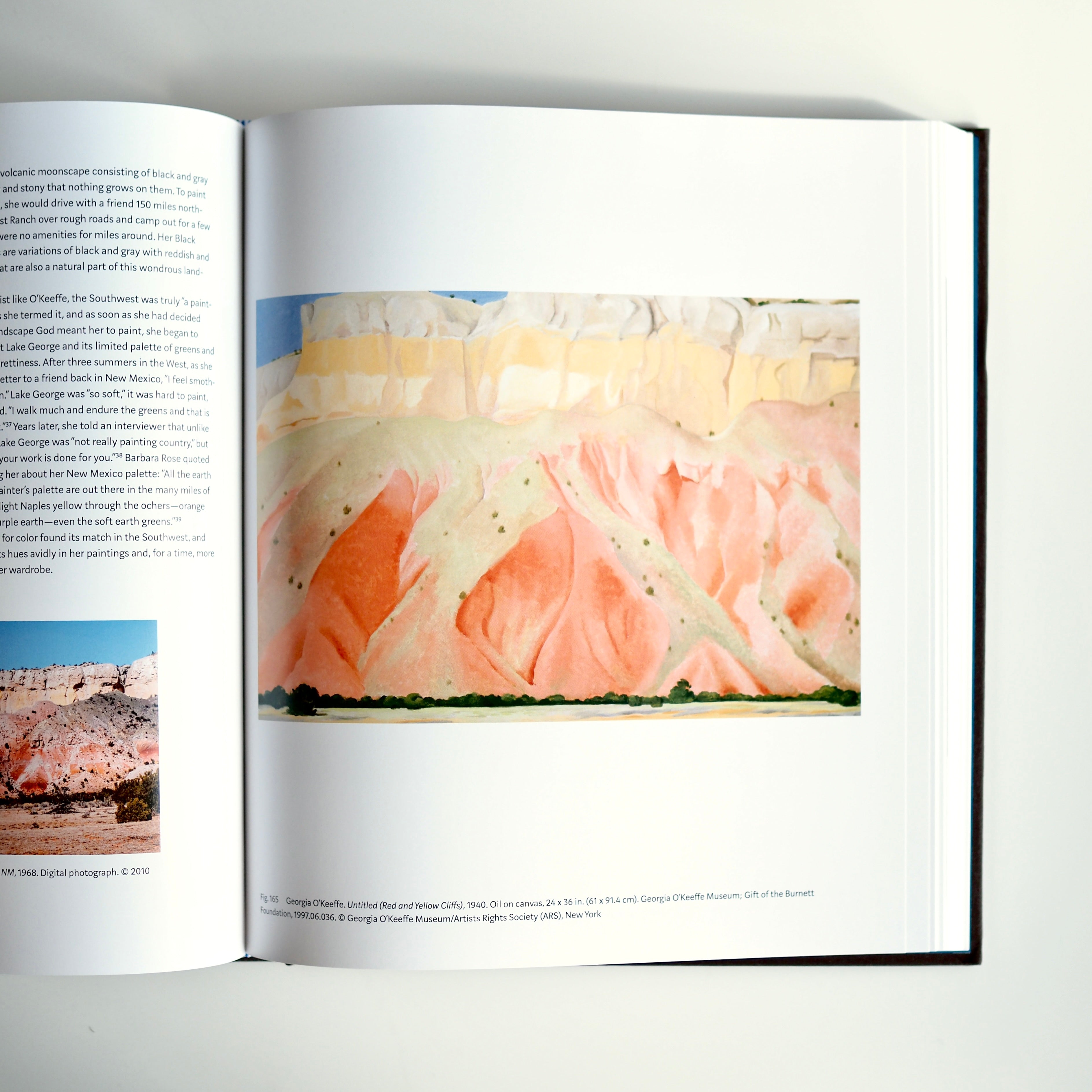 GEORGIA O'KEEFFE : LIVING MODERN [used]