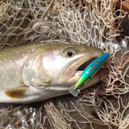 Fishery！ - ハンドメイドルアー流神HP