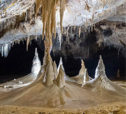観察法のイロハのイ 自然がつくった神秘の空間鍾乳洞 | Science Portal