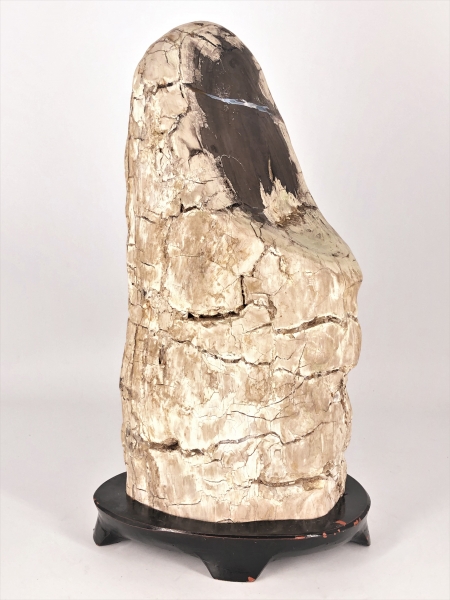 珪化木』 木化石 32×15×10cm 5.4kg 誂え木台付き |サムライ