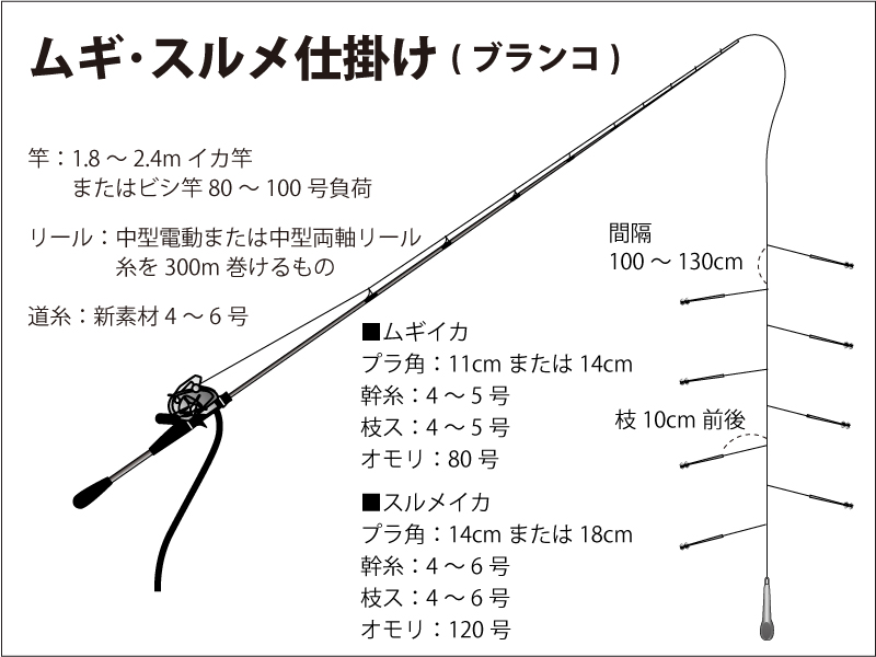 仕掛け図｜坂口丸