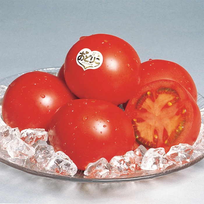 大玉トマト おどりこ｜種（タネ）,球根,苗,資材,ガーデニンググッズの