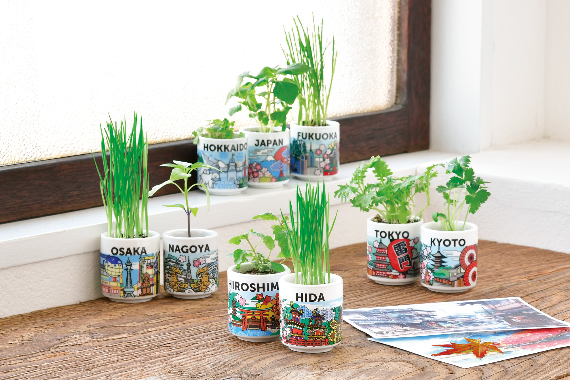 お芽でたおちょこ JAPAN - 聖新陶芸株式会社｜栽培キットの企画・製造