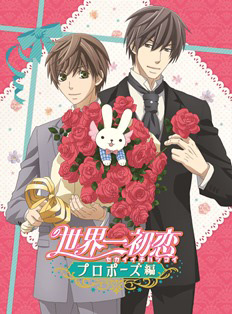 Blu-ray&DVD | 「世界一初恋 〜プロポーズ編〜」公式サイト
