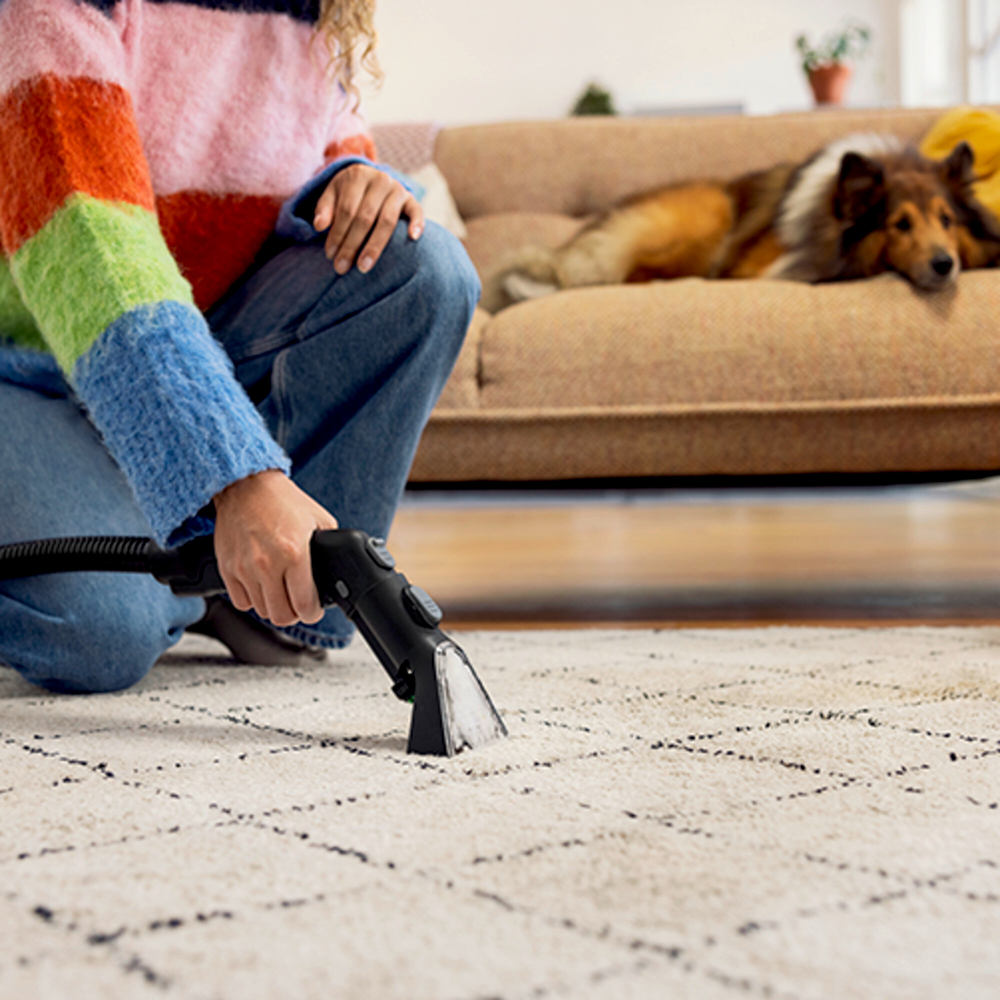 SE 3 | ケルヒャー