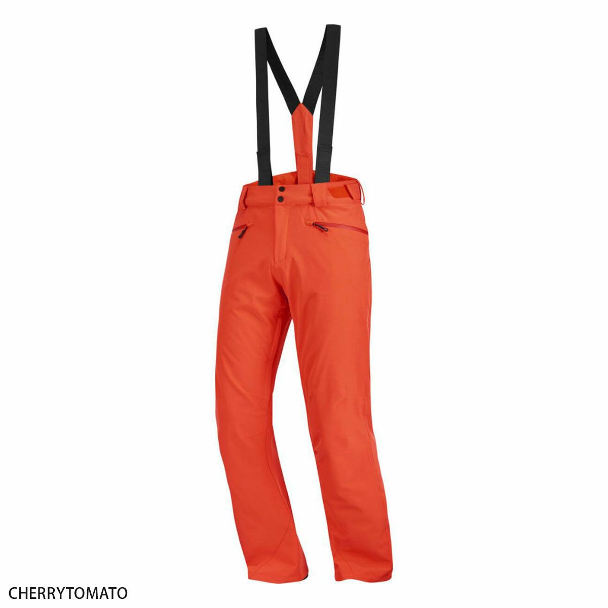 スキーウェア スキーパンツ パンツ SALOMON サロモン メンズ 2025 EDGE