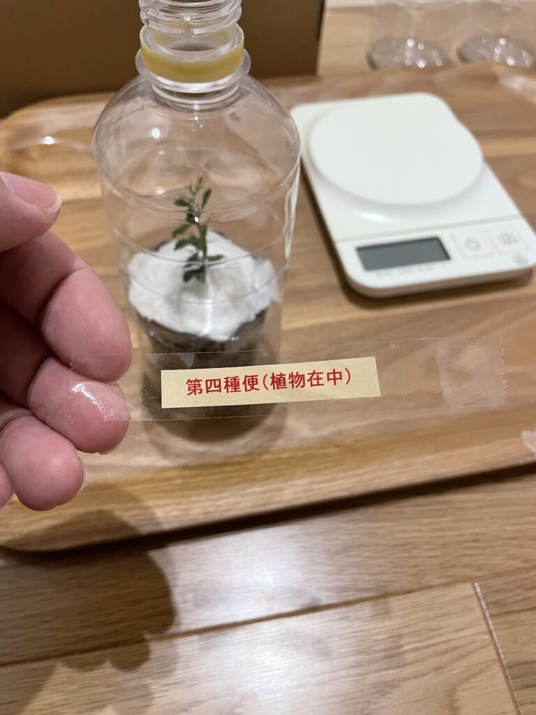 簡単5分で完成！植物を全国どこでも発送できる第四種郵便のペット