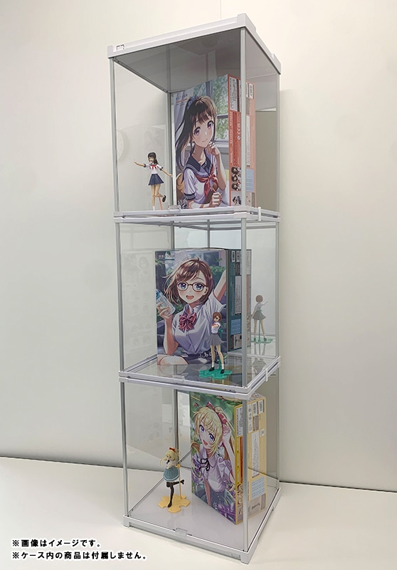 Fケース ノーマル型3段連結セット【背面ミラー】(ノーマル型3段連結