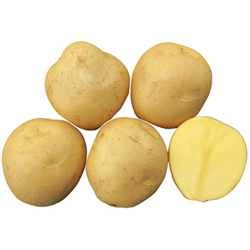 739-NEA387-1330416.jpg?