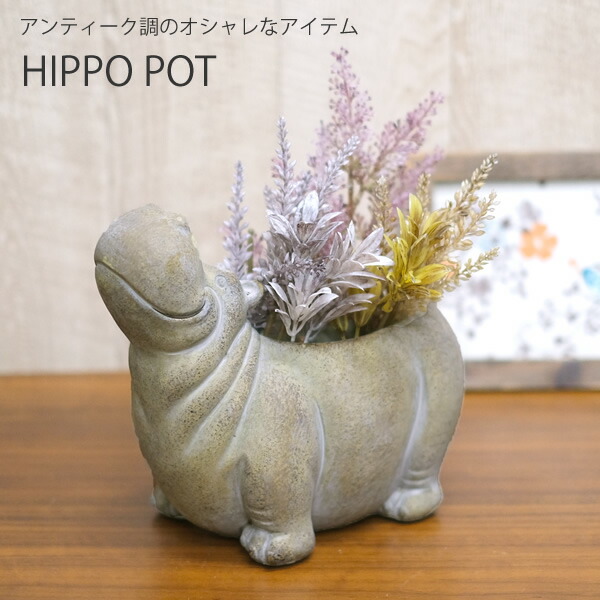 楽天市場】【新商品】CN21 シャンタルヒポ カバ 鉢 鉢カバー