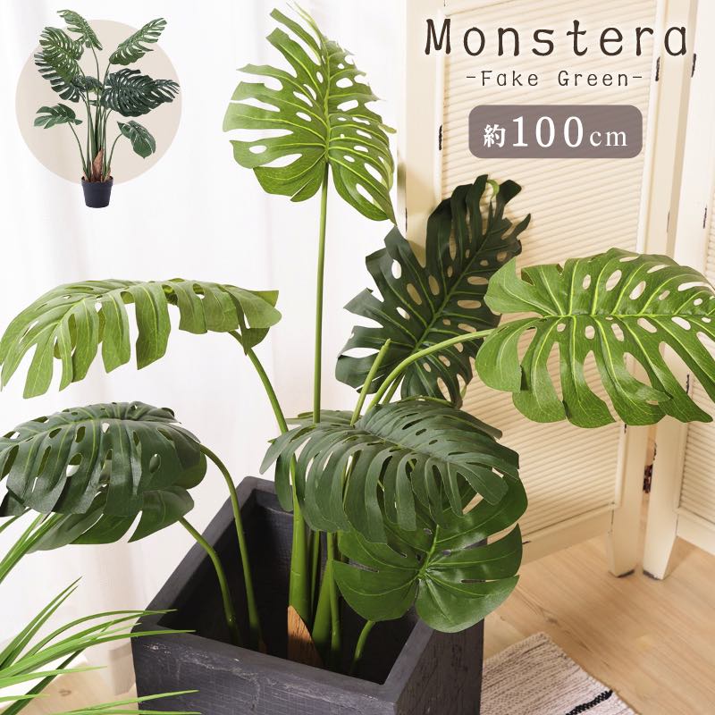 楽天市場】【クーポンで10%OFF】 ウッドボックストネリコミックス1.8