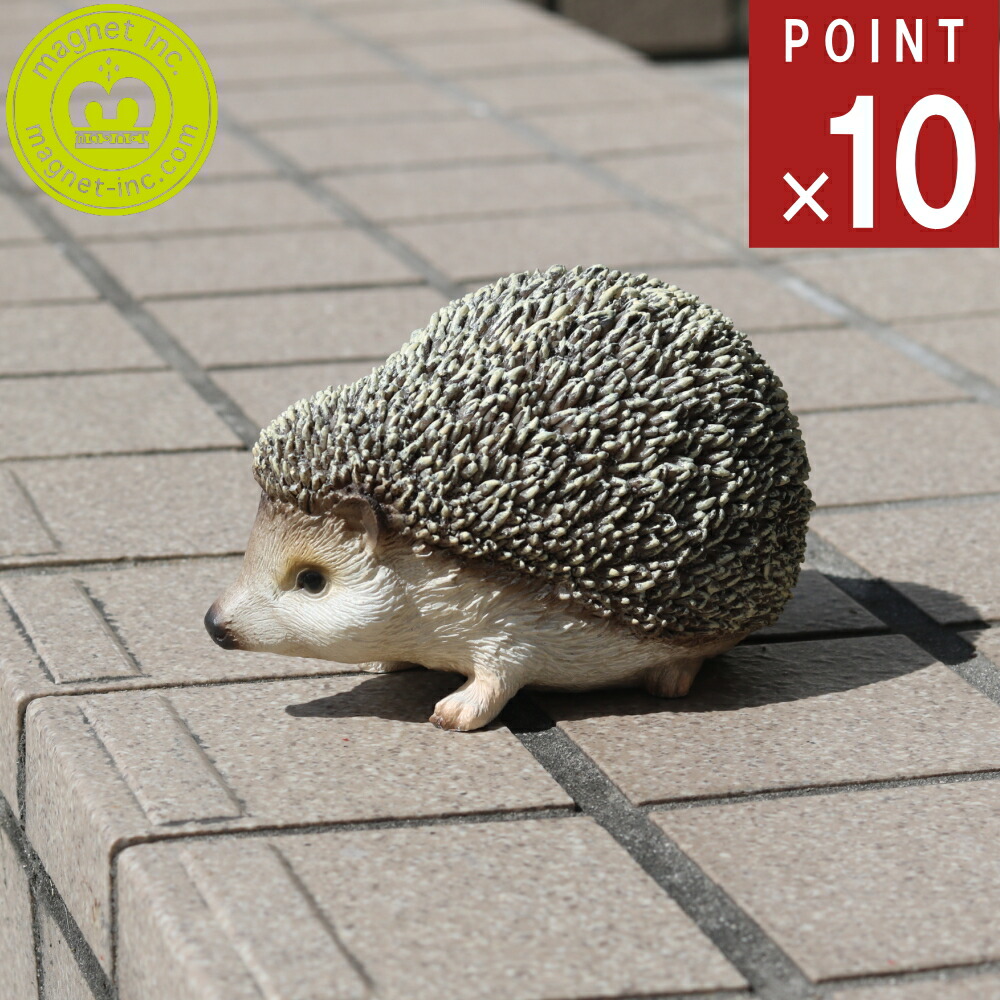 楽天市場】☆【ハリネズミ】リアルなアニマル貯金箱 ペットバンク