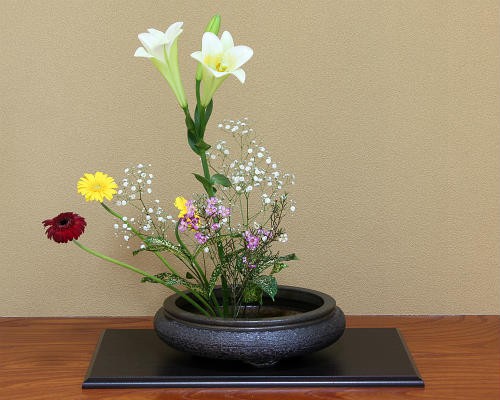 信楽焼 水盤 花器 11号 万年青 丸 陶器 池坊 嵯峨御流 生け花 華道用