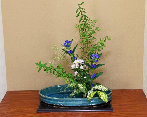 在庫数限り 信楽焼 水盤 花器 16号 青ガラス千段 小判 陶器 池坊 嵯峨