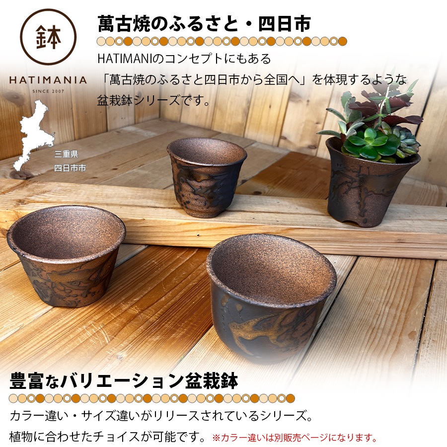 HATIMANIA 鉢マニア 金彩 3号 六平 3.5号 尻丸 ラッパ 浅型 日本製