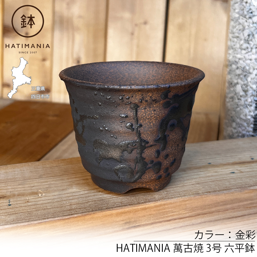 HATIMANIA 鉢マニア 金彩 3号 六平 3.5号 尻丸 ラッパ 浅型 日本製