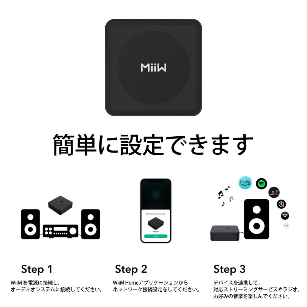 WiiM WiiM Pro WiiM | ウィーム ネットワークストリーマー : Onsite
