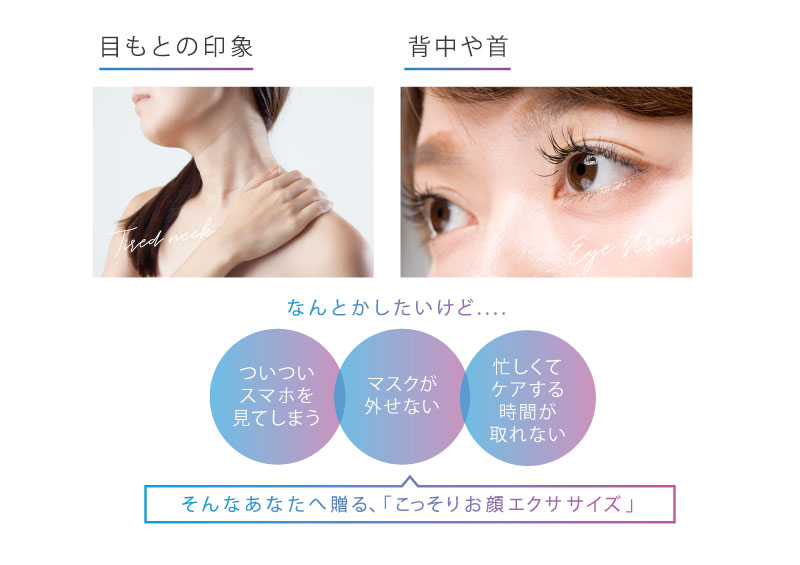 ルルド 値下げしました！ EMS マスク AX-FRL912 顔 フェイスケア 美顔