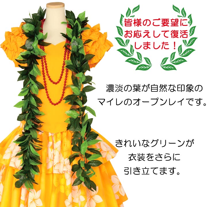 即納☆ NEW マイレ・レイ YW-GD006-1-3650 フラダンス フラ ハワイ