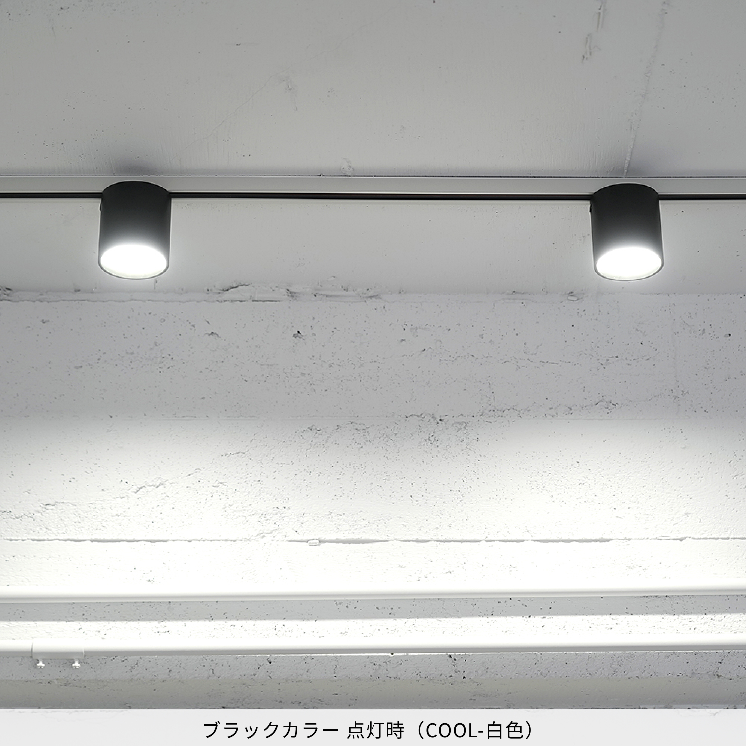 ARTWORKSTUDIO（アートワークスタジオ） シーリングライト スポット