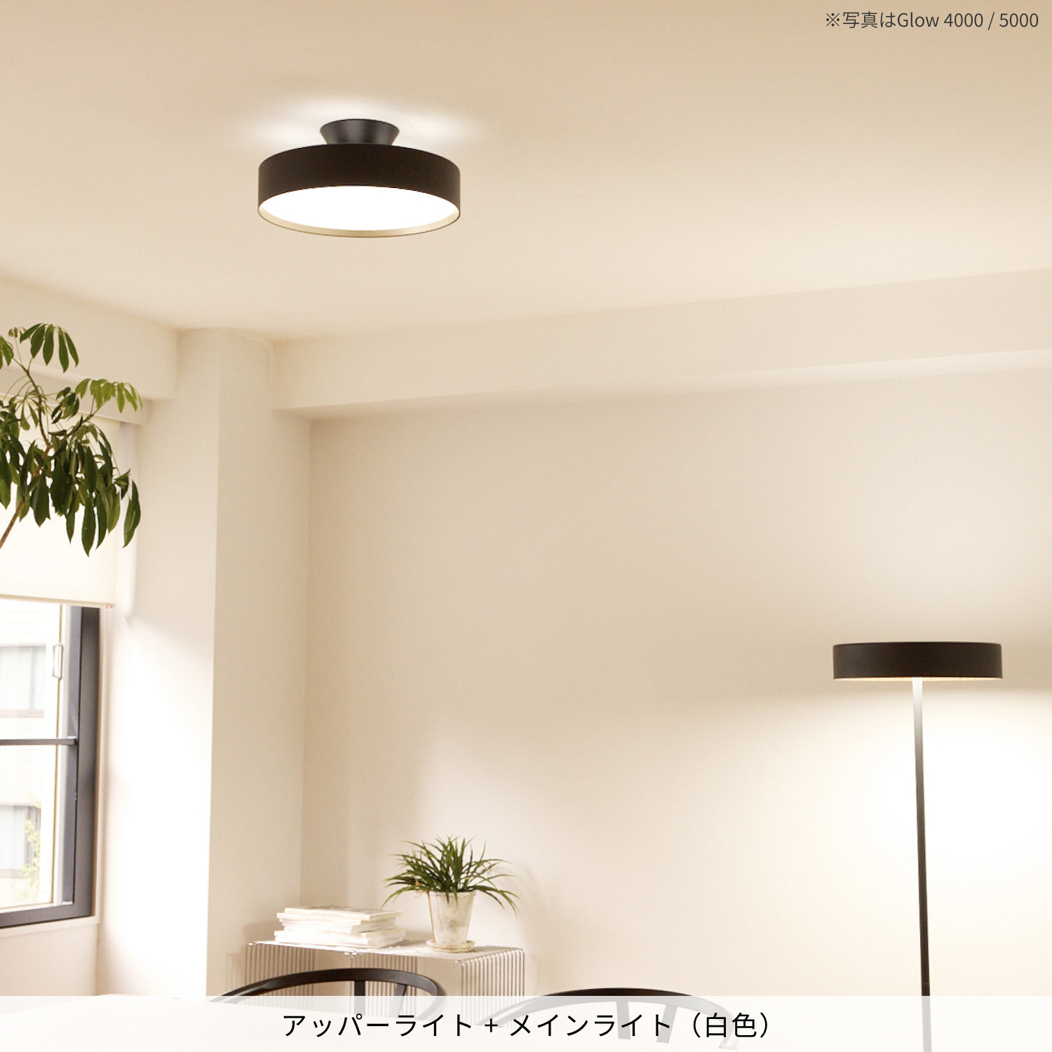 アートワークスタジオ公式 Yahoo!ショップ - グローLEDシーリング