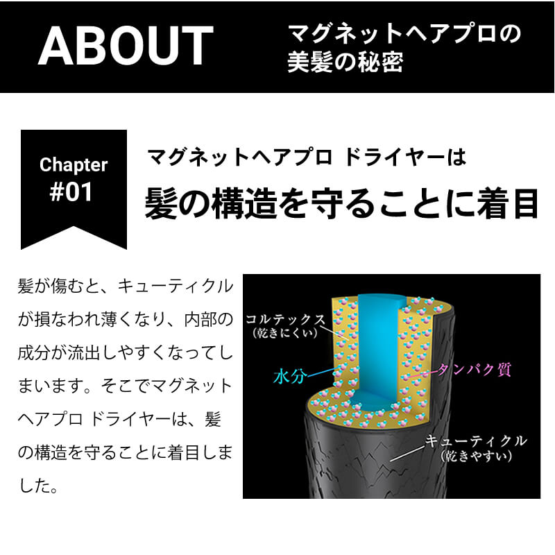 HOLISTIC cures（ホリスティックキュアーズ） マグネットヘアプロ