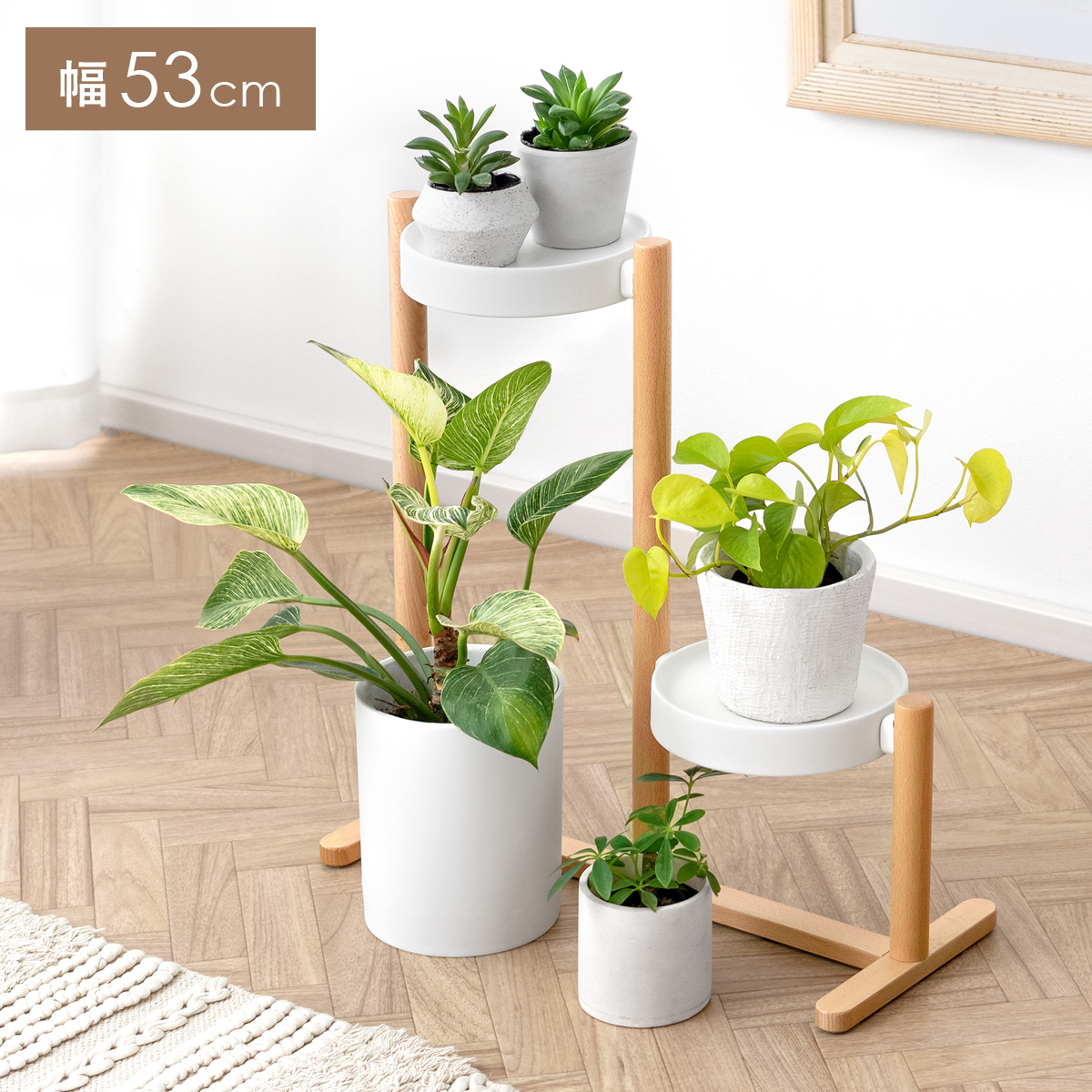 エア・リゾーム フラワースタンド 室内 おしゃれ 花棚 花台 プランター