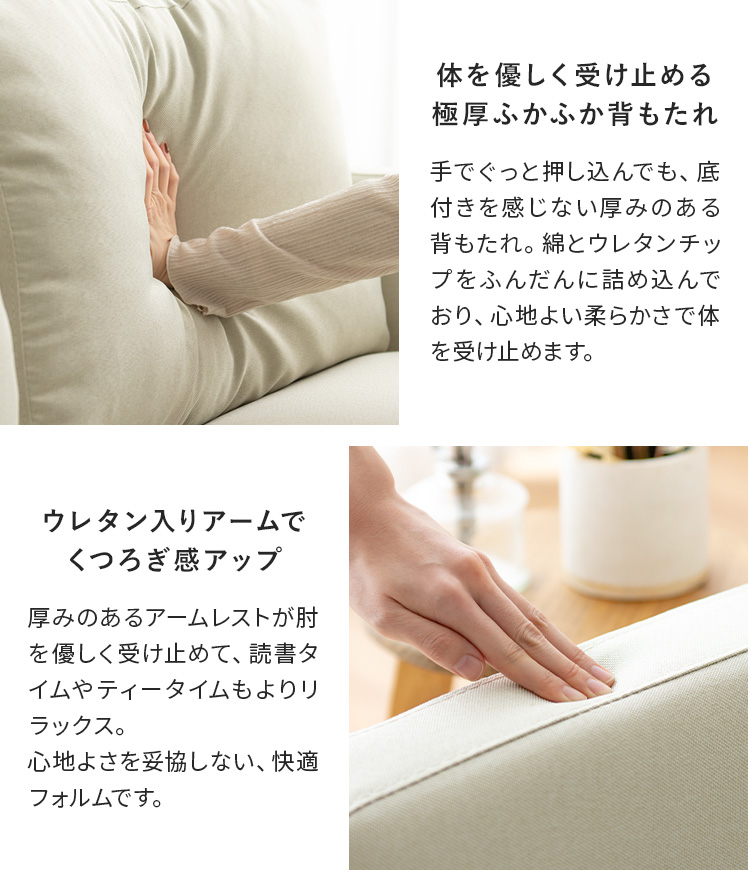 エア・リゾーム ソファー ソファ 1人掛け 一人掛け 肘掛あり ロー