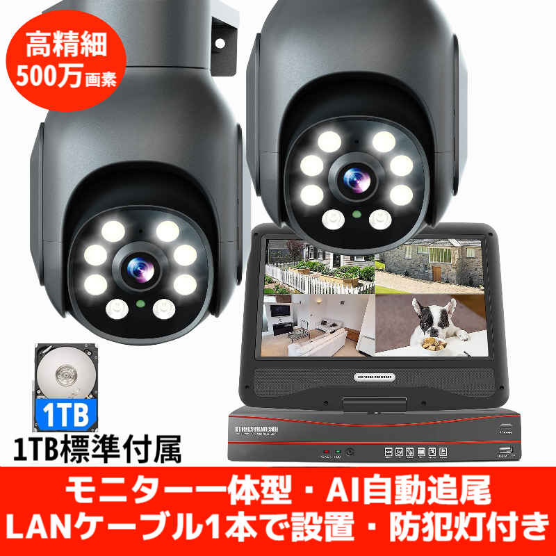 アキバガジェット 防犯カメラ poe給電 屋外 PTZ機能 2台セット 家庭用