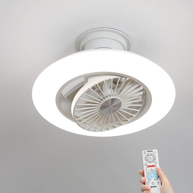 DOSHISHA（ドウシシャ） シーリングライト 選べる豪華特典