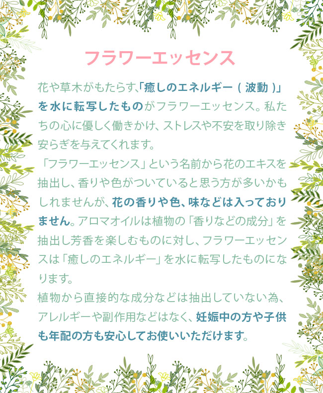 60 ディーエヌエー・クリアリング アンジェリックエッセンス : 癒やし