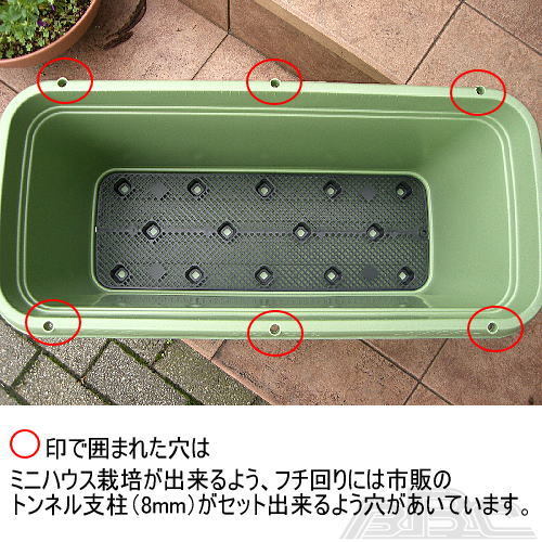 グリーンパル（GREEN PAL） 家庭菜園深型プランター#650 ベランダ