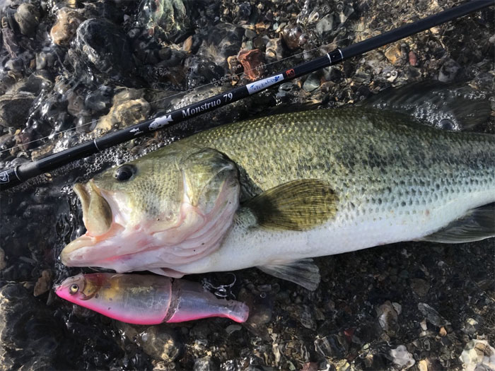 TULALA ツララ モンストロG 79MHC 呉監修モデル : バックラッシュYahoo