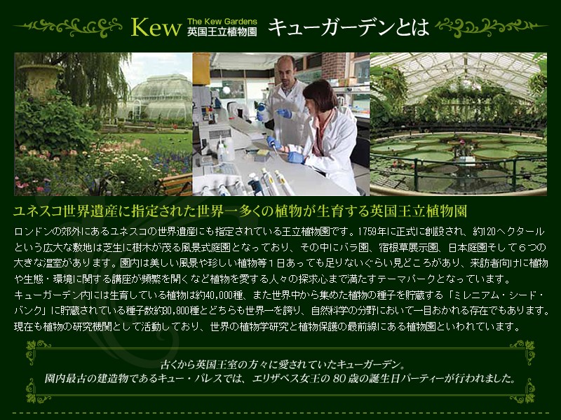 英国ブランド Spear＆Jackson キューガーデン ガーデングローブ S