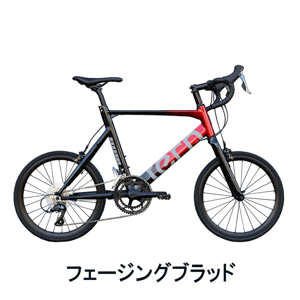 DAHON（ダホン） Tern ターン 自転車 ミニベロ Surge サージュ 2024年