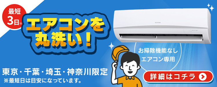 IRIS OHYAMA（アイリスオーヤマ） エアコン 12畳 12畳用 節電 電気代