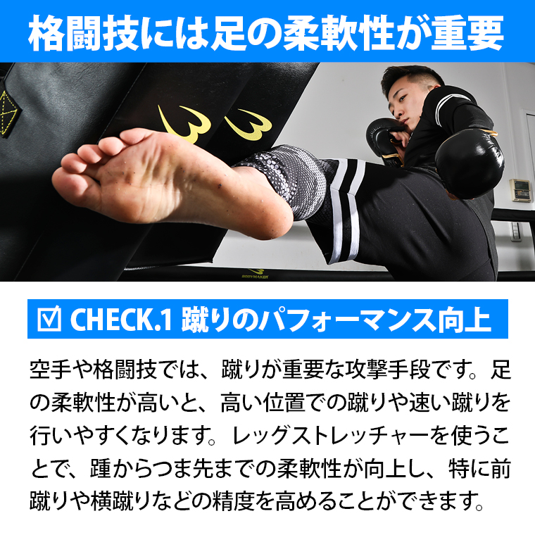 レッグストレッチャー BODYMAKER ボディメーカー ハイキック 開脚スト