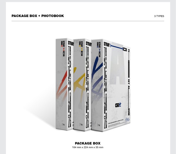 安心の日本国内発送 1st Full Album GO Live 通常盤 B VER. Stray Kids