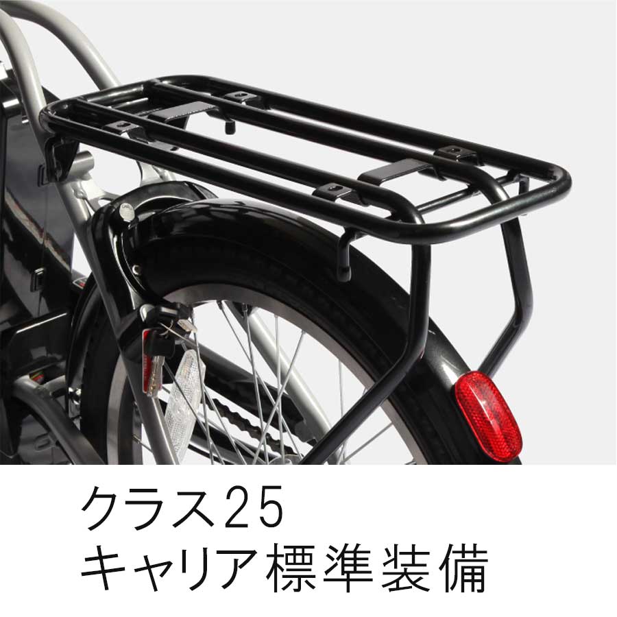 PELTECH（ペルテック） 送料無料 電動アシスト 自転車 20インチ