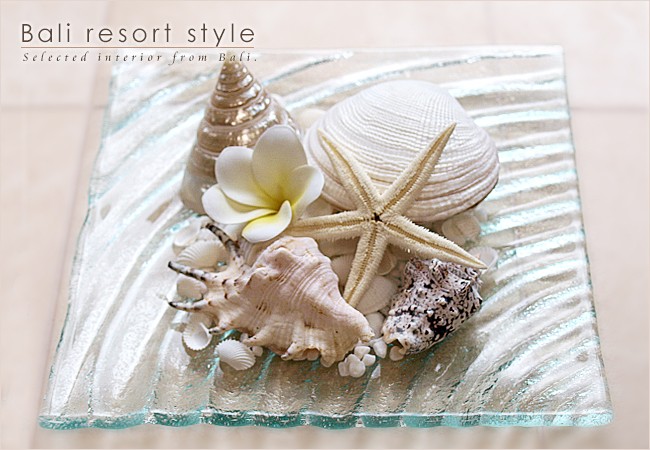 貝殻のリゾートコーデ9点セット インテリア オブジェ 海 おしゃれ