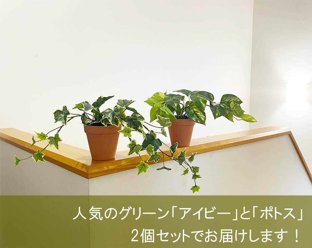 光触媒 フェイクグリーン 2個セット アイビー＆ポトス 観葉植物 造花