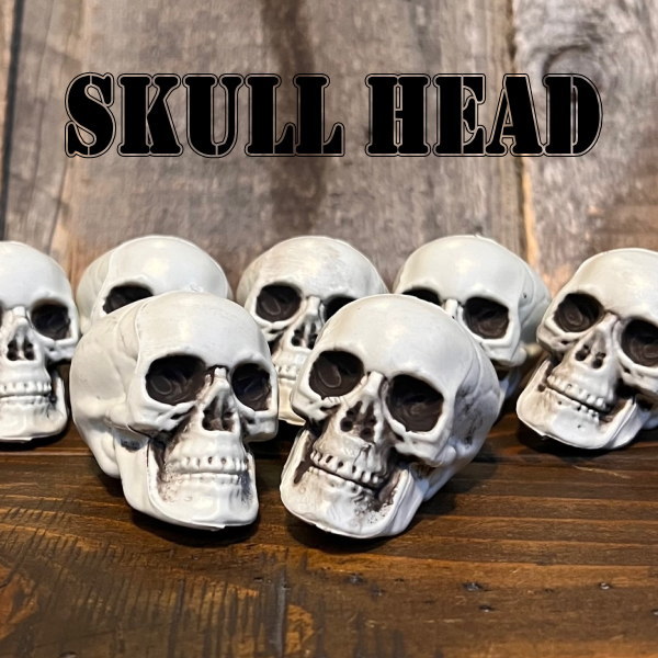 ドクロ SKULL オブジェ ガイコツ 置物 骸骨 スカル 邪気を払う「魔除け