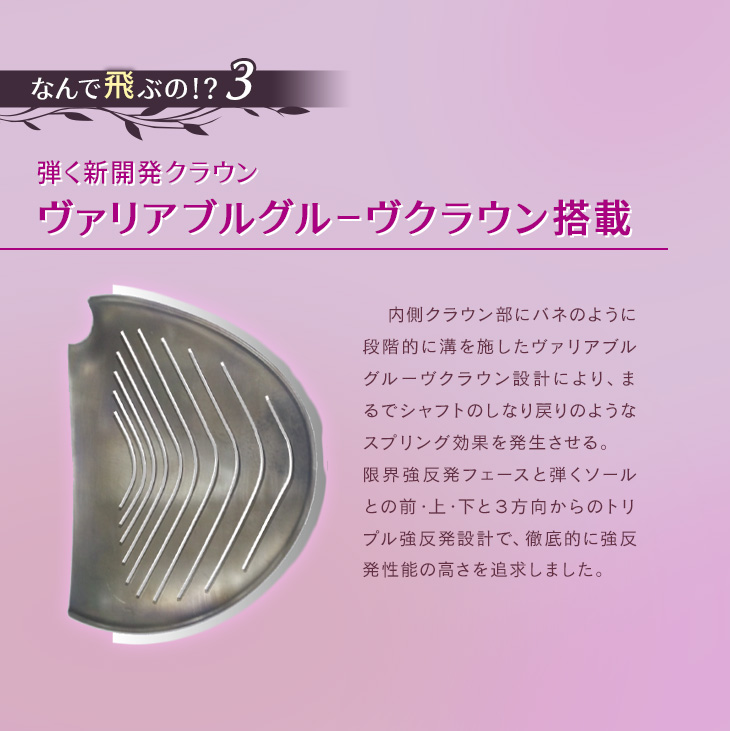 DYNAGOLF（ダイナゴルフ） ゴルフ クラブ レディース ドライバー 超高