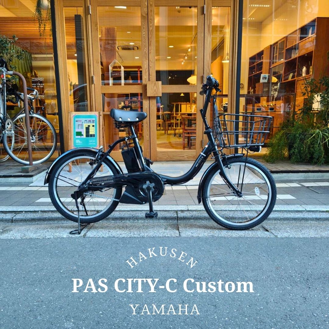 PAS CITY 大容量のビッグバスケット搭載 PAS C(パスシティC)（PA20CC