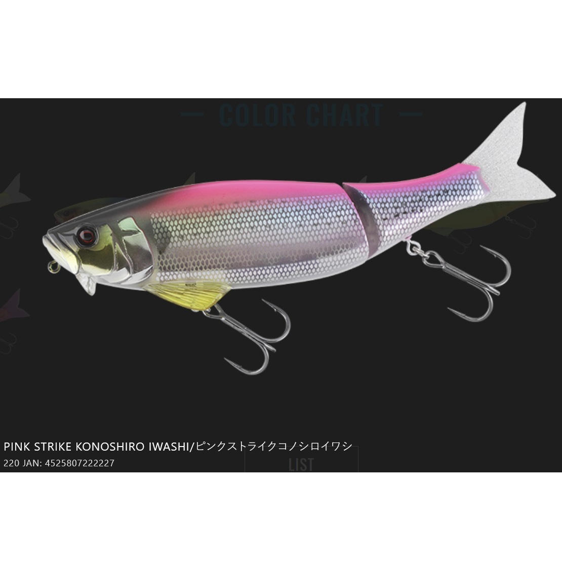 JACKALL（ジャッカル） ダウズワン220 DOWZONE 220mm ビッグベイト